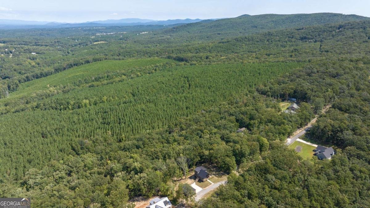 356 Mulberry Circle Jasper - 42