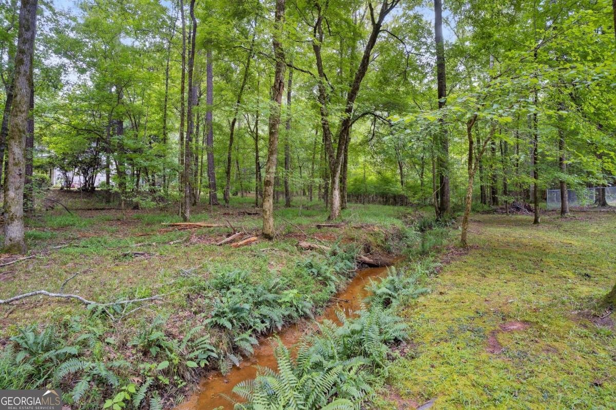 1041 Apalachee Woods Drive Buckhead - 20