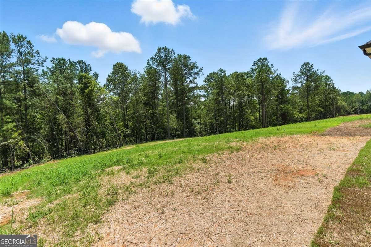 1010 Cable Road Waleska - 47