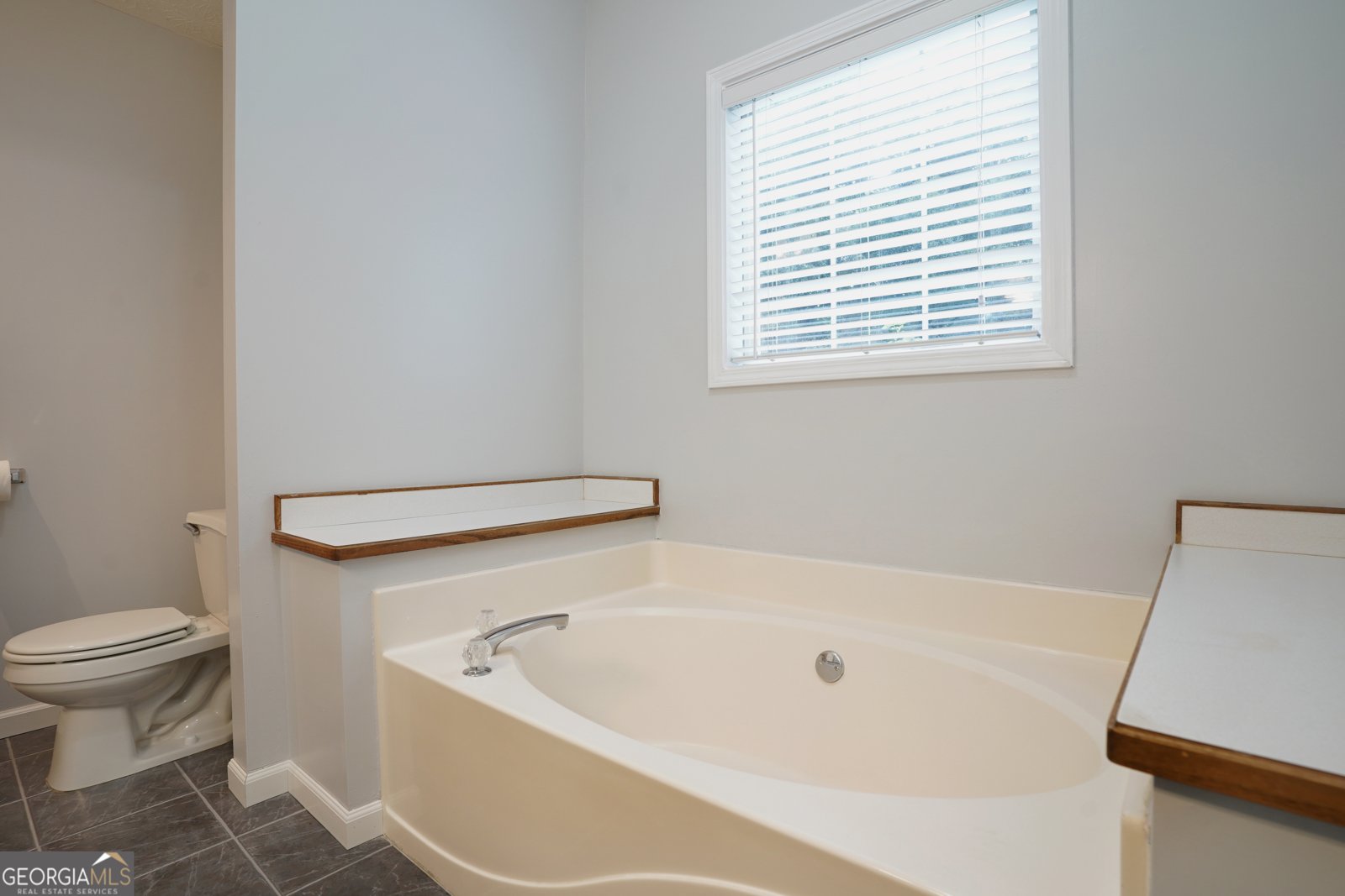 309 Clover Drive Auburn - 17