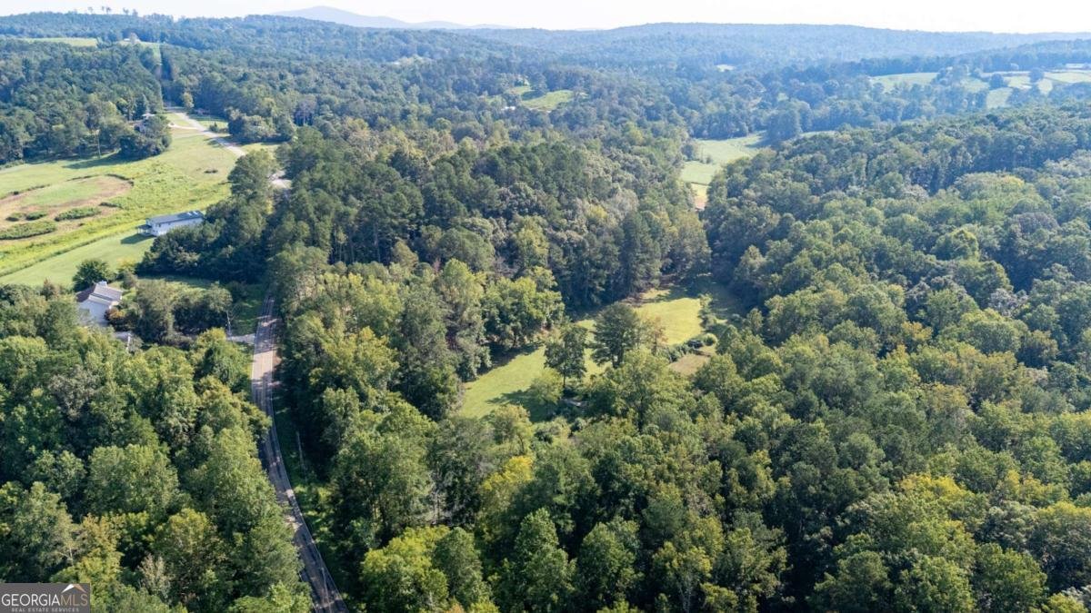 1783 Four Mile Church Road Ball Ground - 13