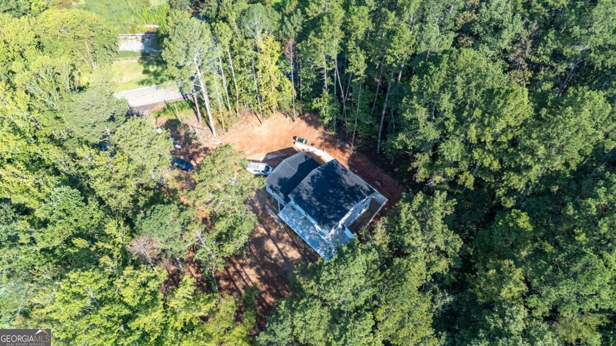 1783 Four Mile Church Road Ball Ground - 2