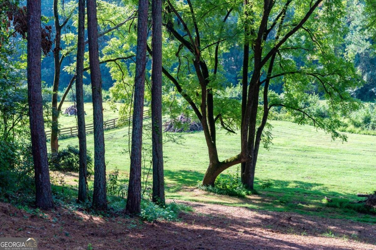 1783 Four Mile Church Road Ball Ground - 3