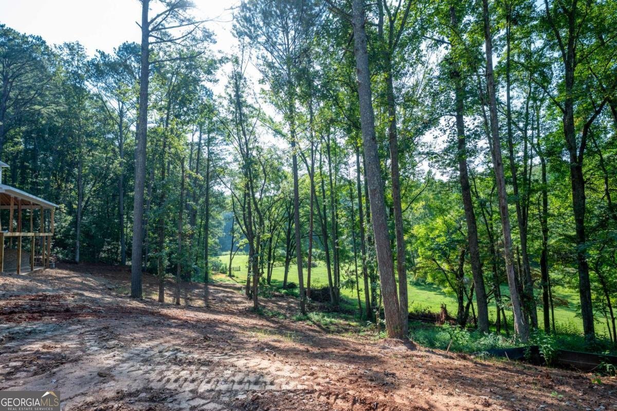 1783 Four Mile Church Road Ball Ground - 5