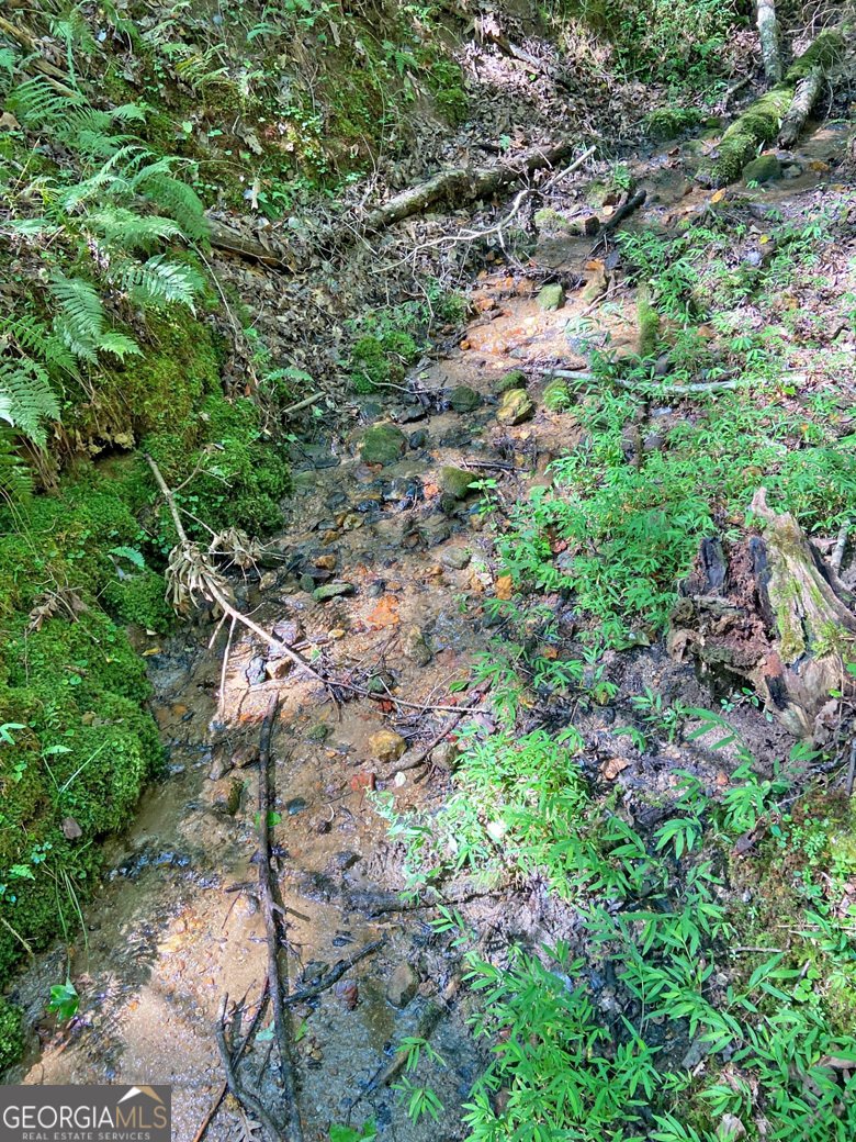 1556 Syrup Mill Road Dahlonega - 17