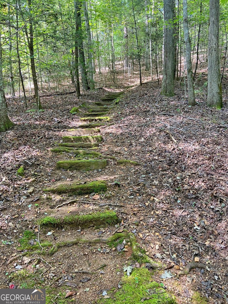 1556 Syrup Mill Road Dahlonega - 4