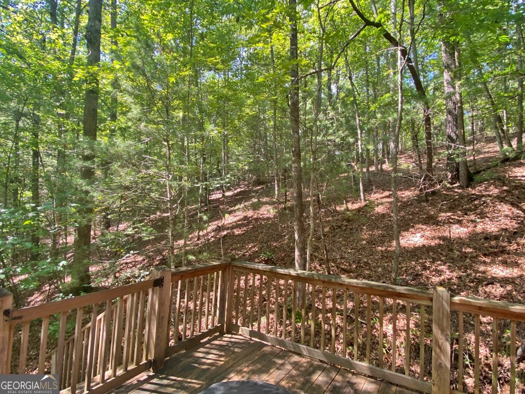 1556 Syrup Mill Road Dahlonega - 7