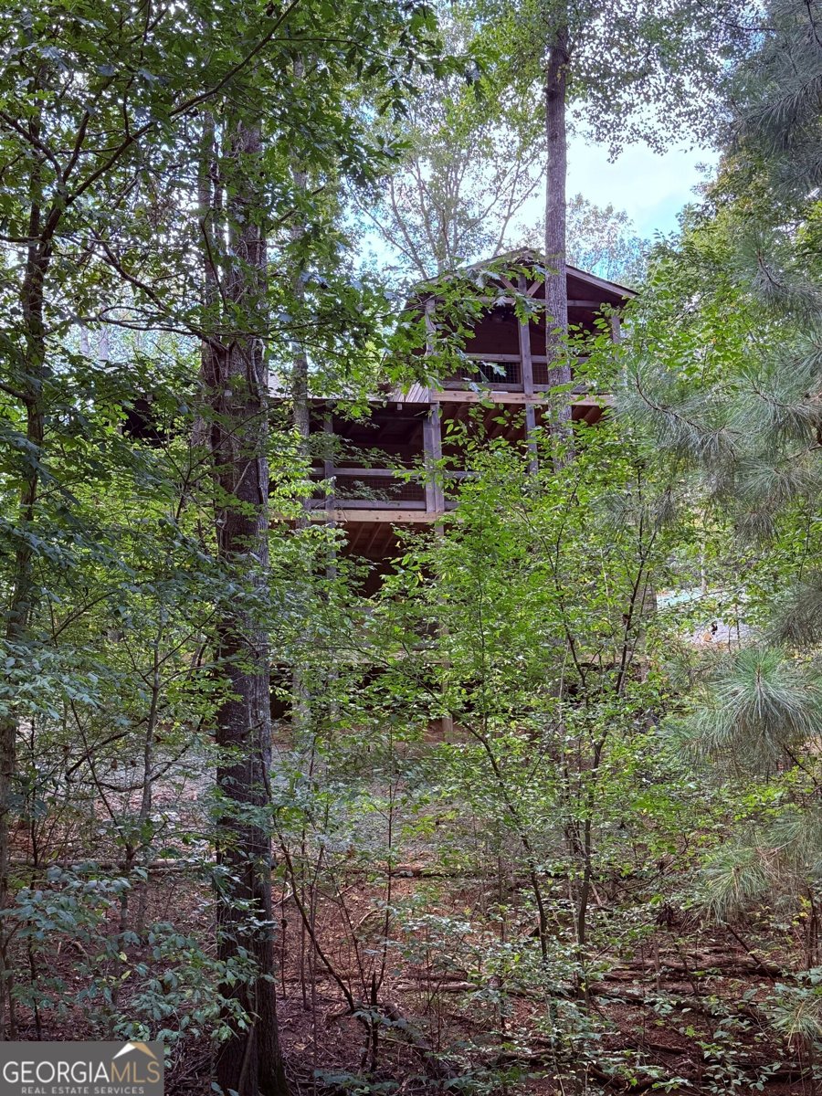 40 Dryad Court Ellijay - 30