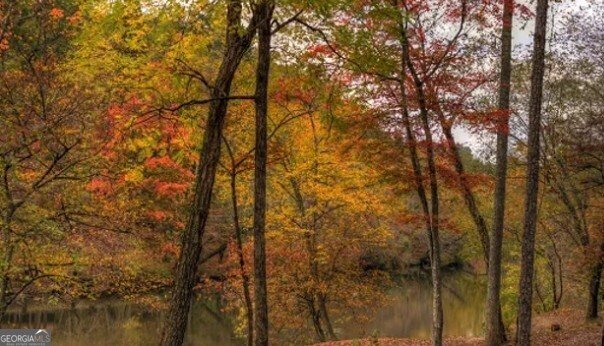 40 Dryad Court Ellijay - 33