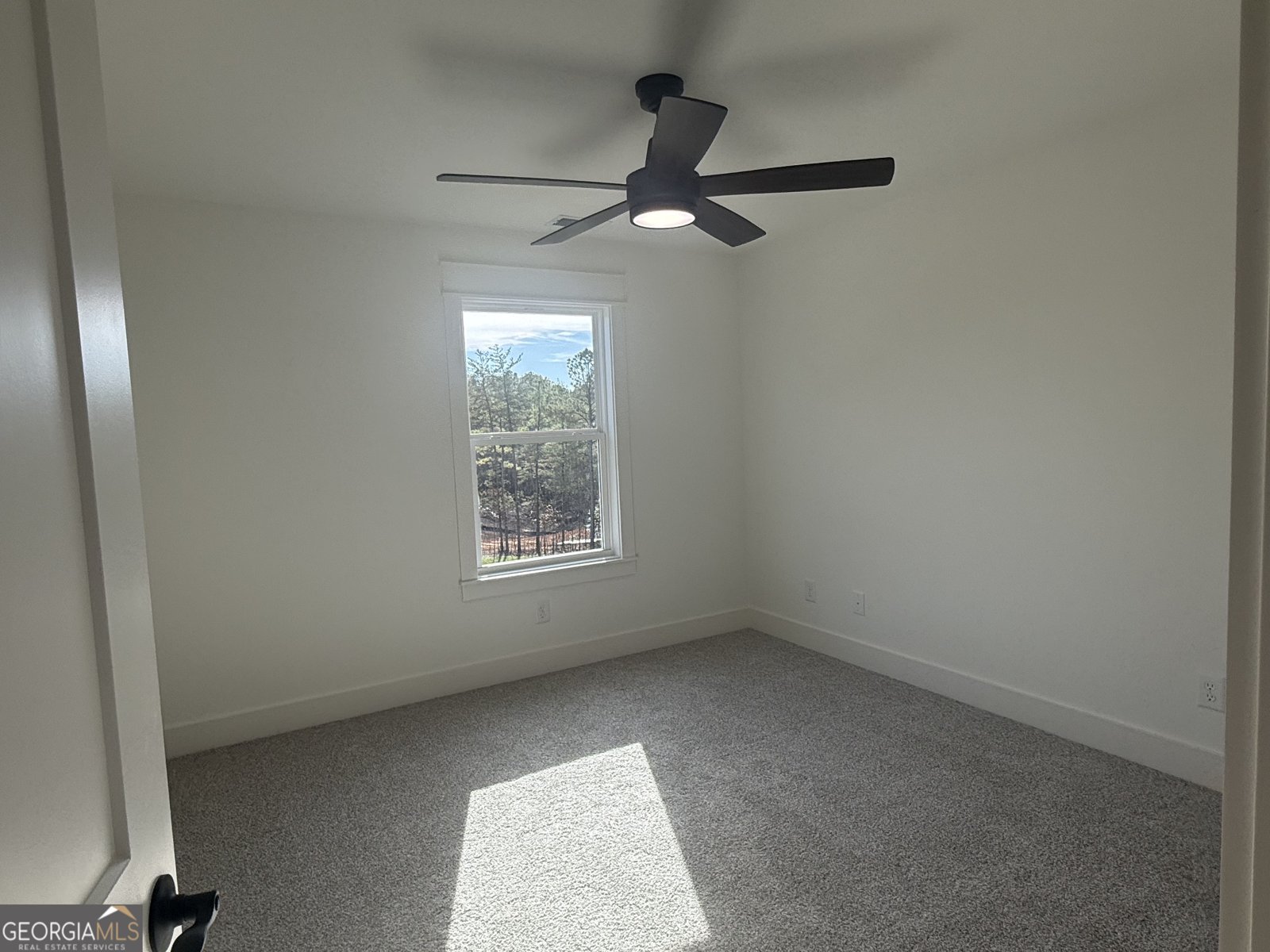 1723 Darby Road Waleska - 25