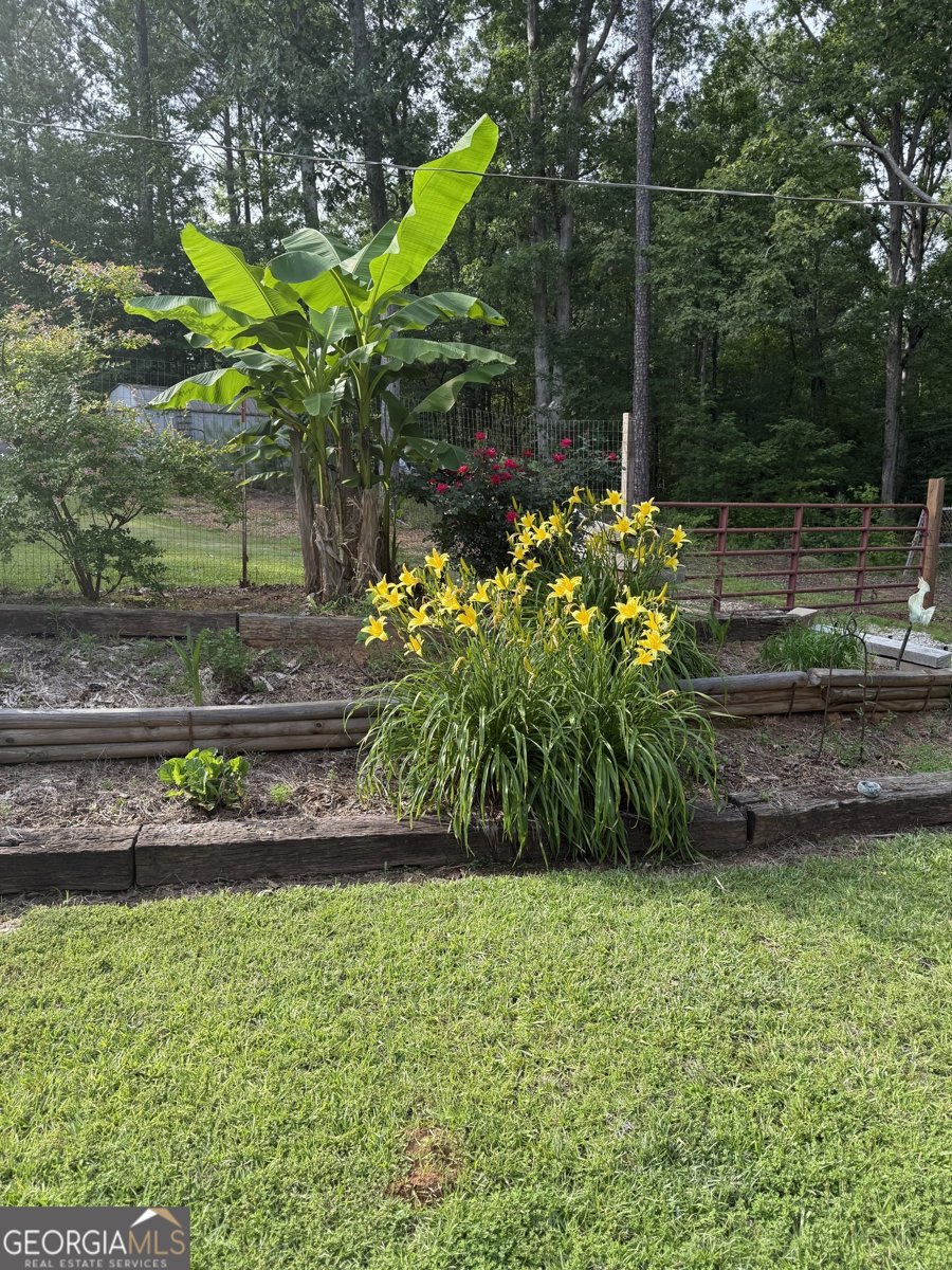 1408 Grady Cleveland Road Elberton - 38