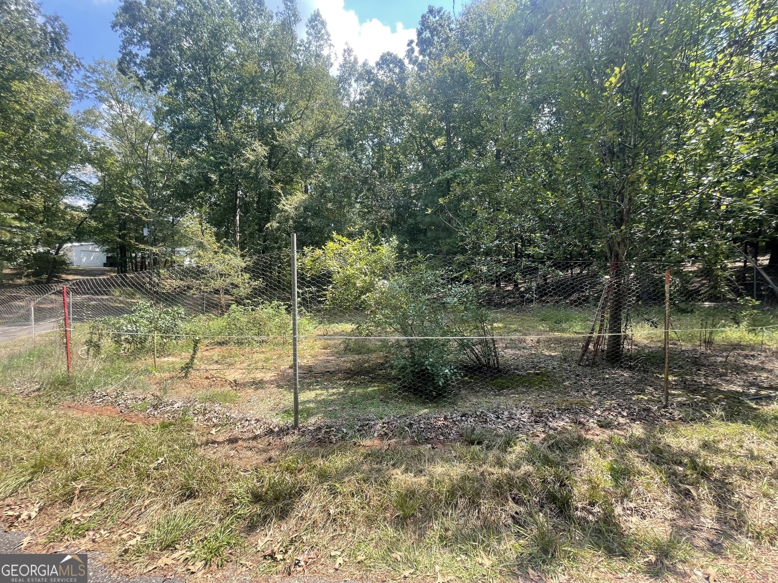 1408 Grady Cleveland Road Elberton - 52