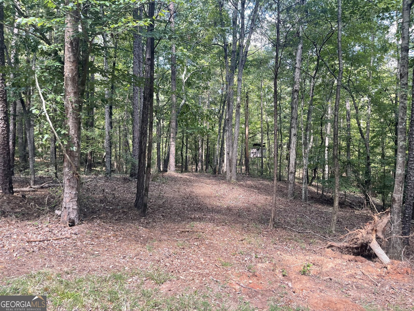 1408 Grady Cleveland Road Elberton - 53