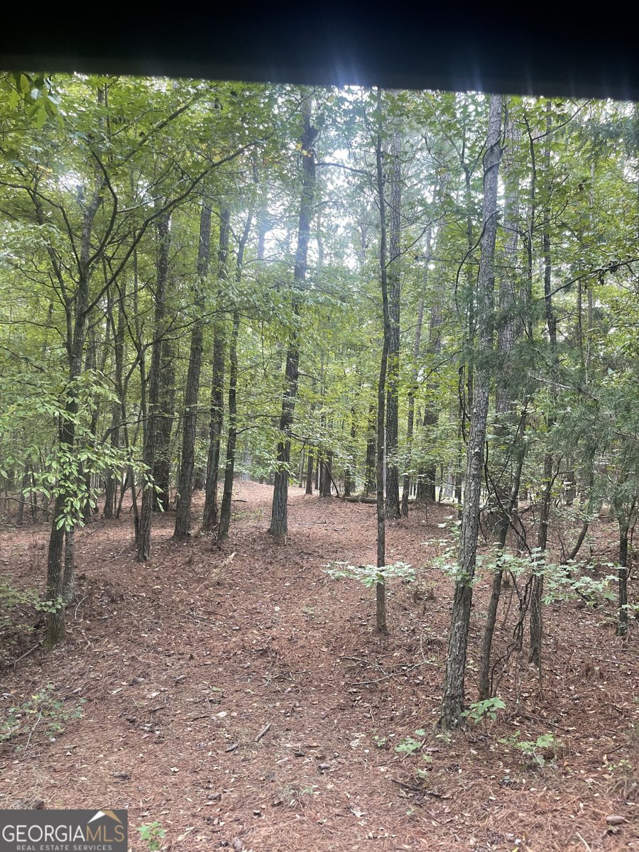 1408 Grady Cleveland Road Elberton - 56