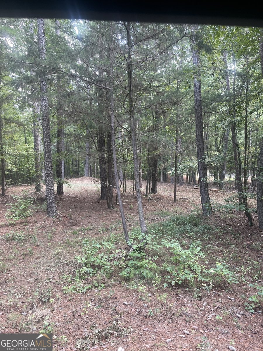 1408 Grady Cleveland Road Elberton - 57