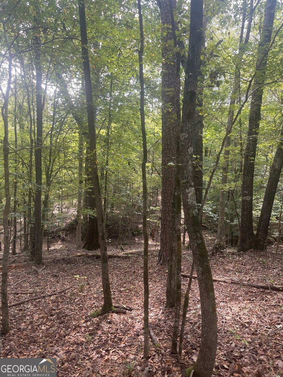 1408 Grady Cleveland Road Elberton - 59