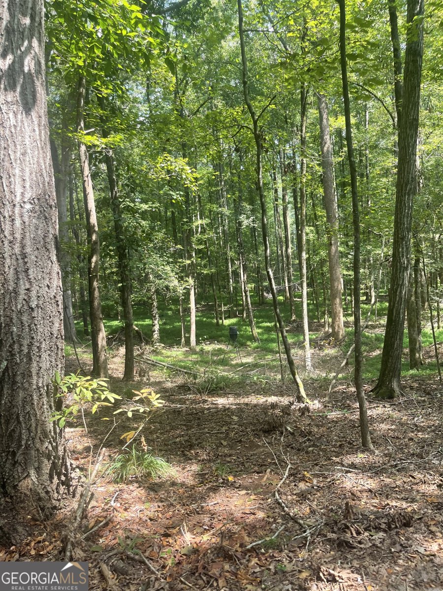 1408 Grady Cleveland Road Elberton - 60