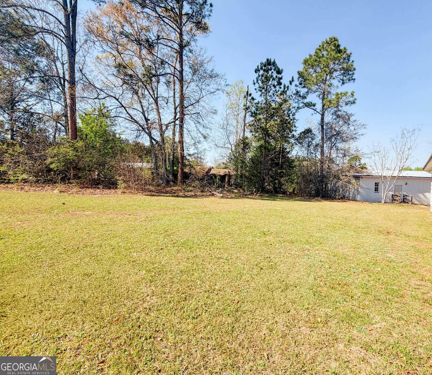 123 Hiers Avenue Sylvania - Photo 12