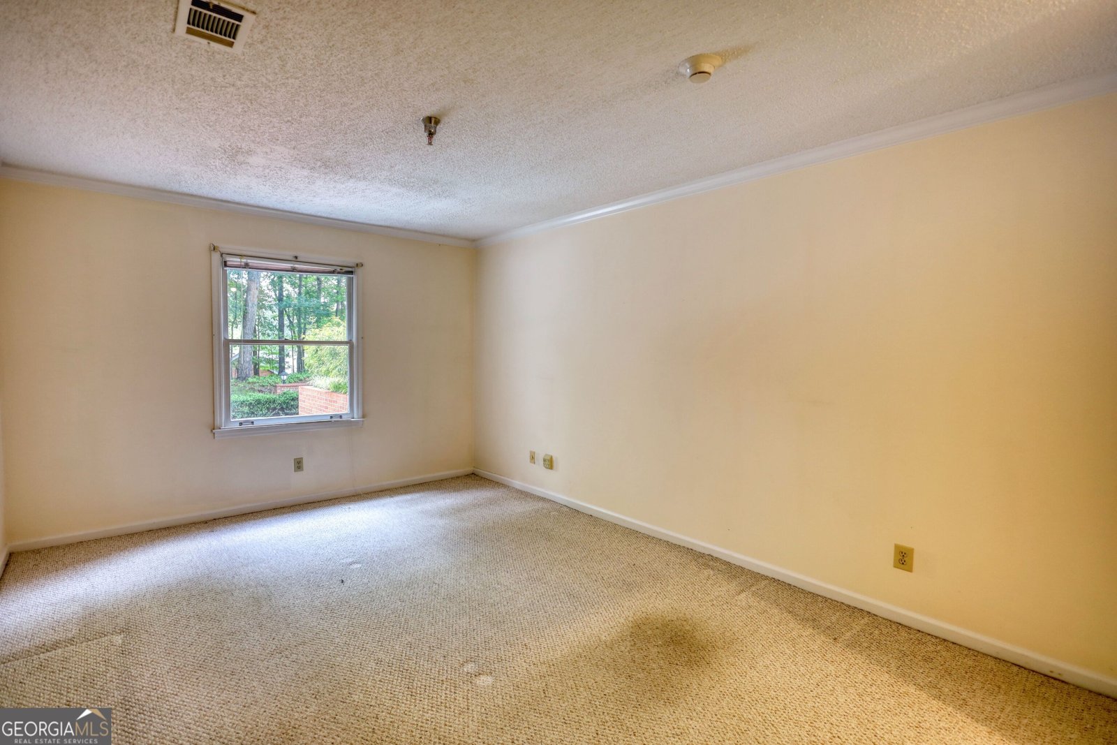 107 Ridley Howard Court Decatur - 19