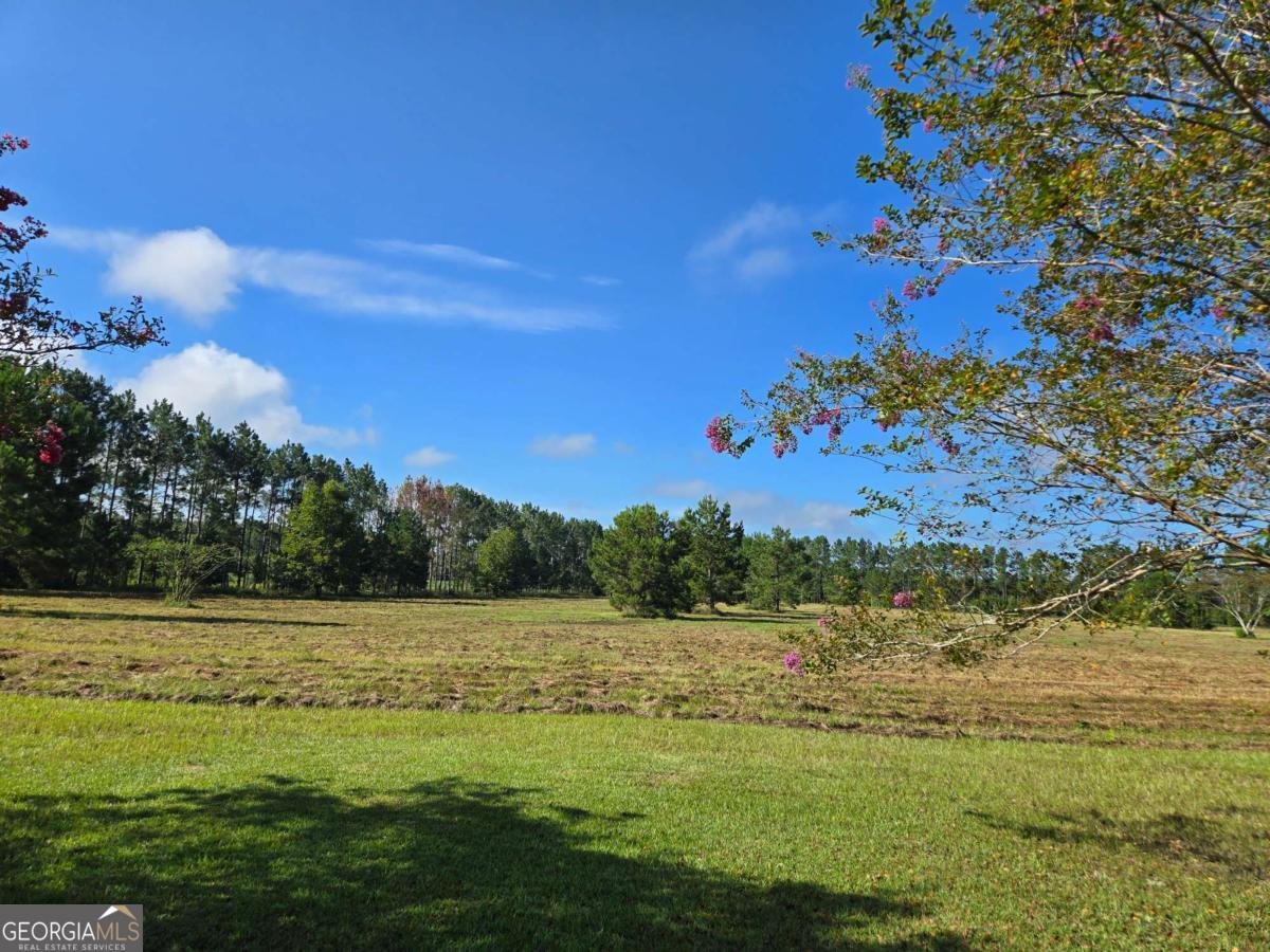 1533 GW Oliver Road Statesboro - 10