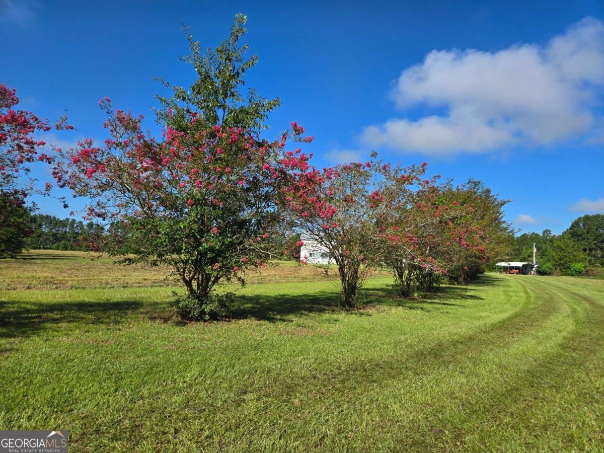 1533 GW Oliver Road Statesboro - 7