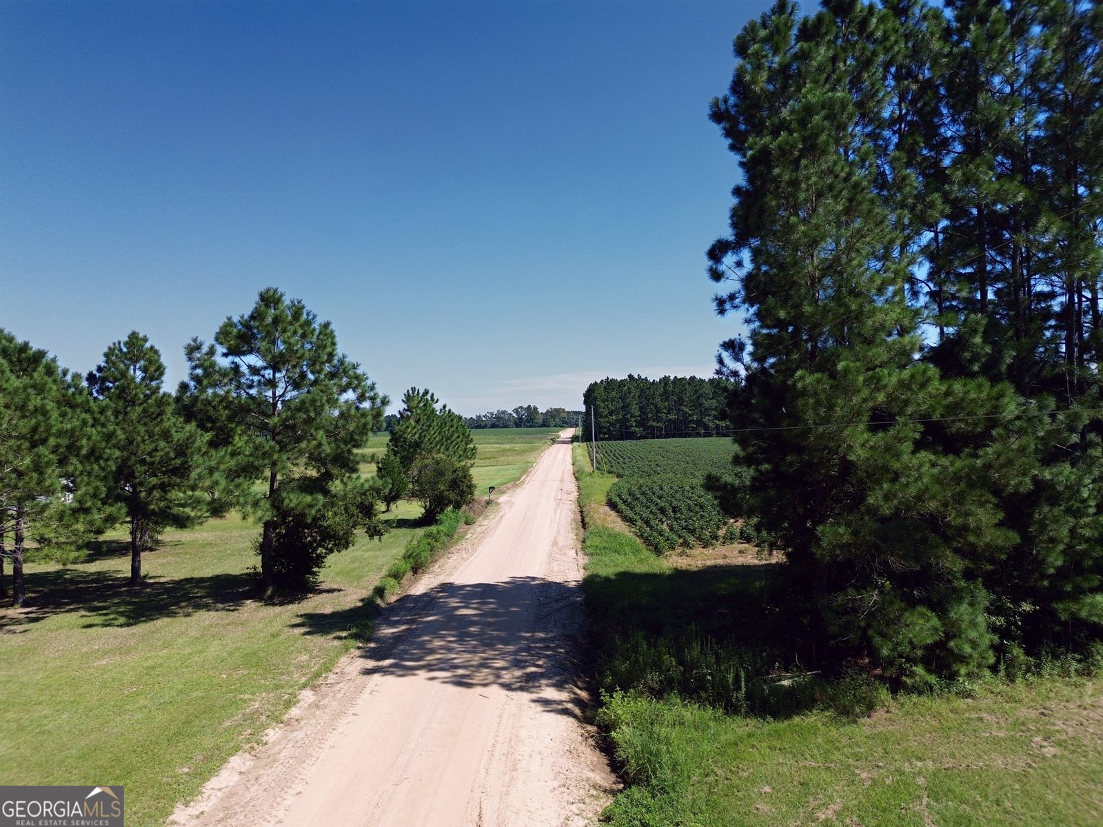 1533 GW Oliver Road Statesboro - 71