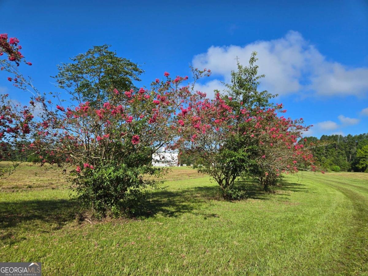 1533 GW Oliver Road Statesboro - 8