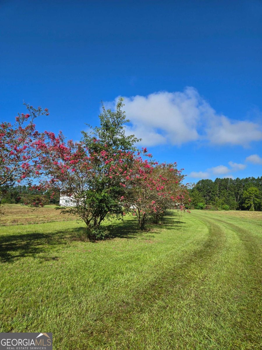 1533 GW Oliver Road Statesboro - 9