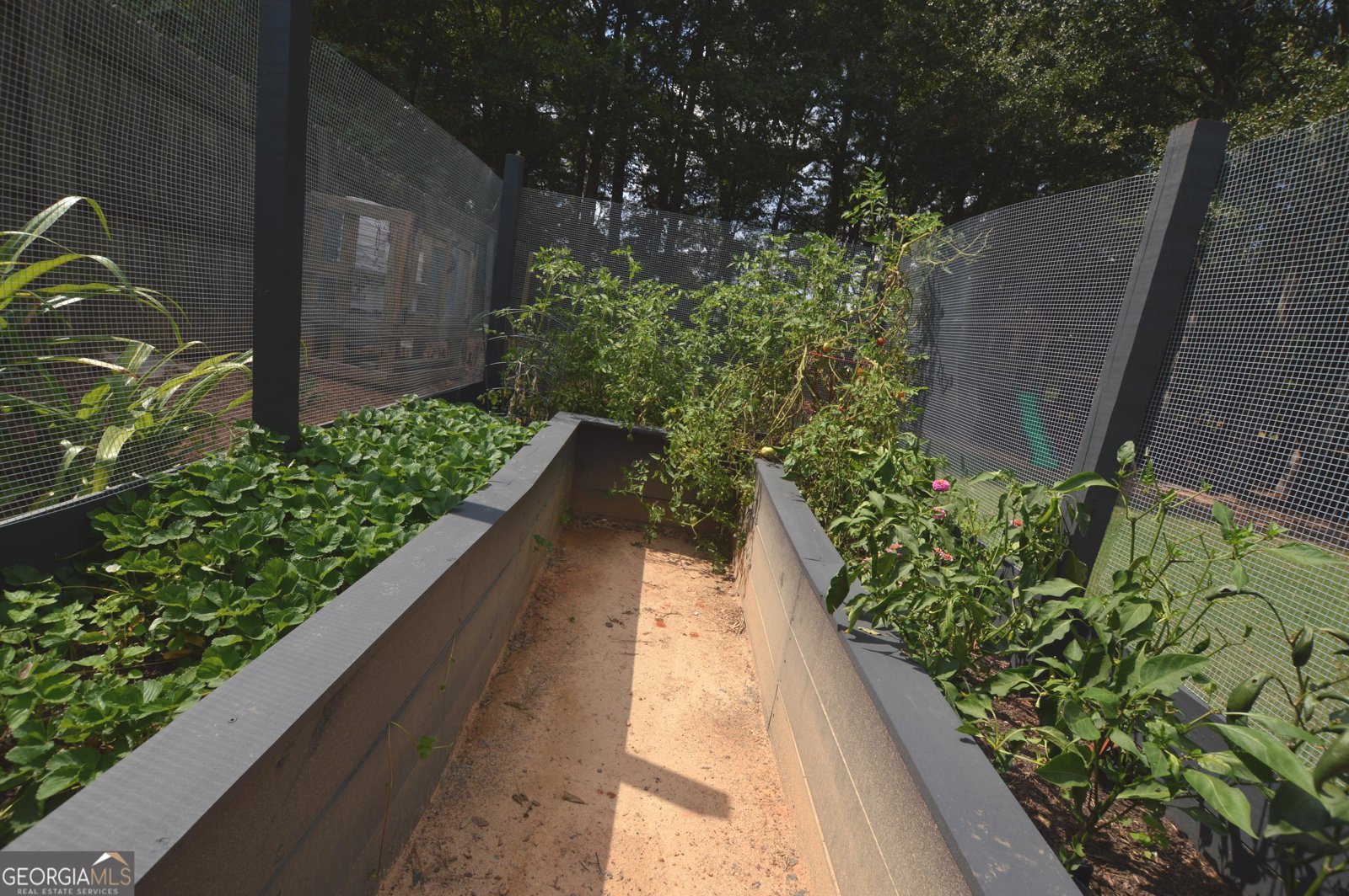 3207 Kinross Court Dacula - 47