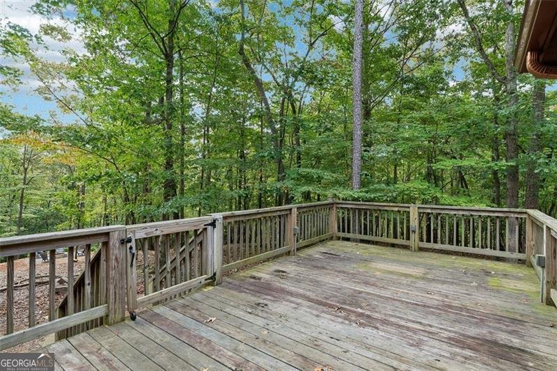 10 MORLEY Drive Ellijay - 22