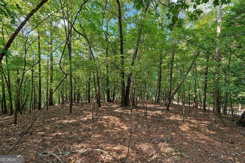 10 MORLEY Drive Ellijay - 23