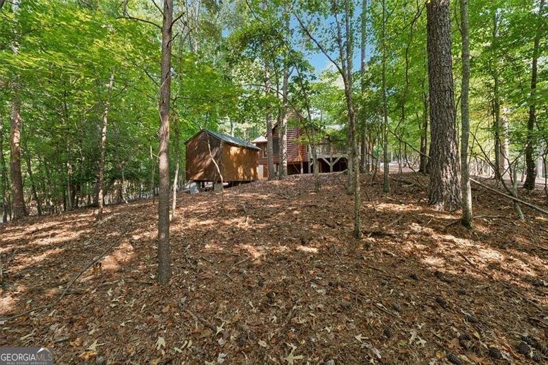 10 MORLEY Drive Ellijay - 24