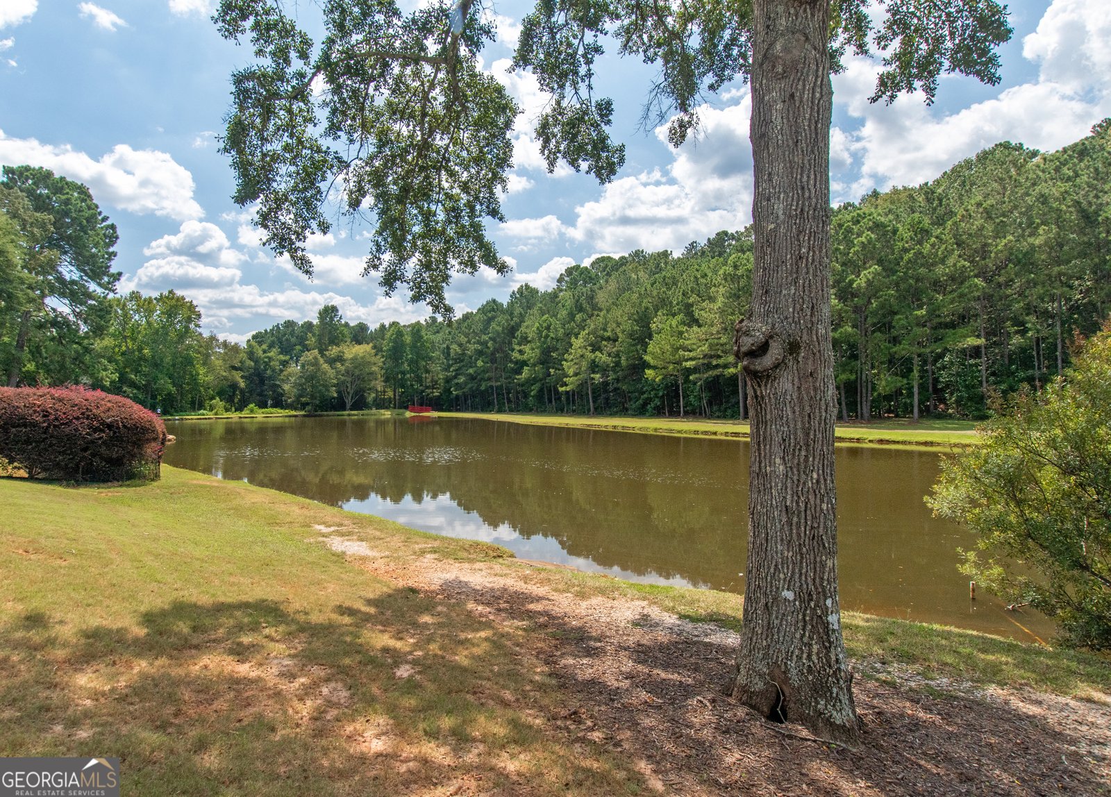196 Olmstead Court Fayetteville - 47