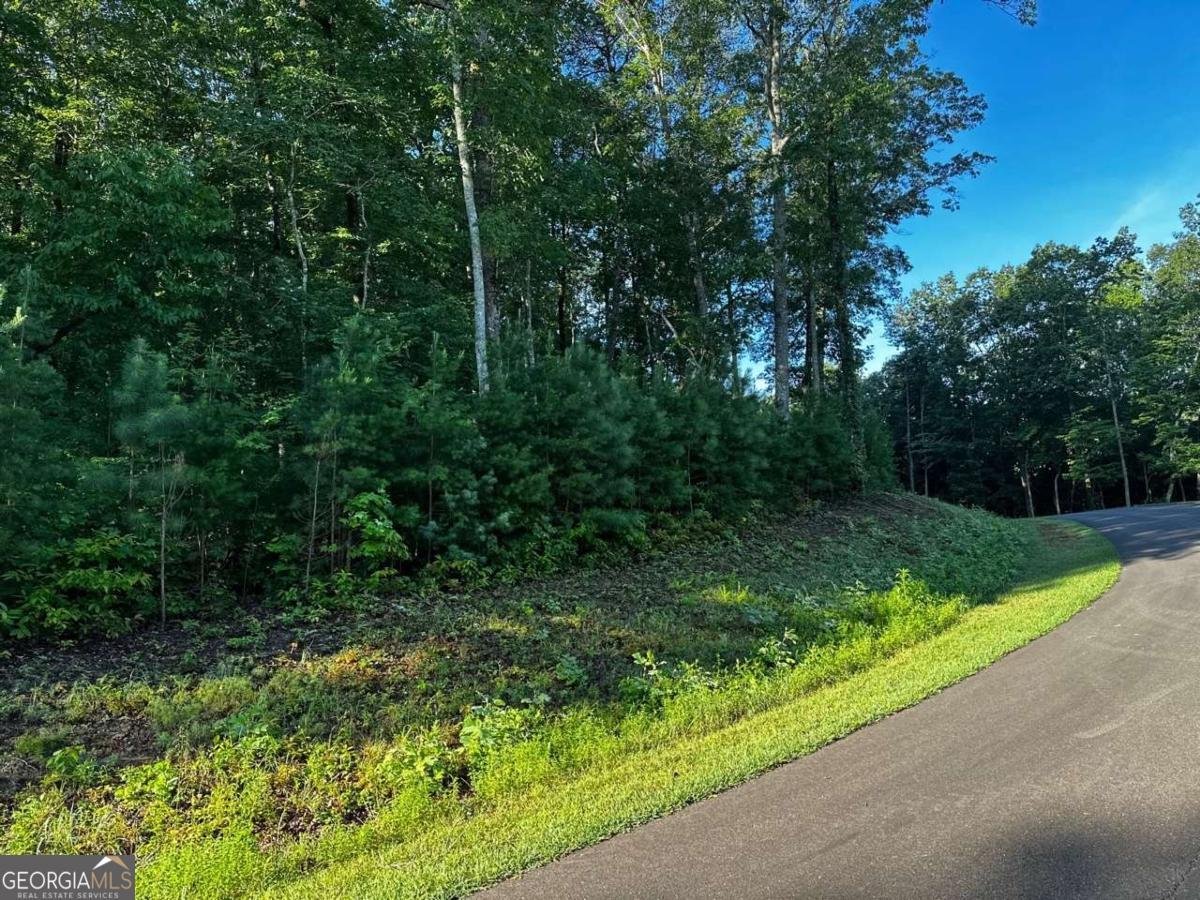 180 Trailwood Drive Ellijay - 19