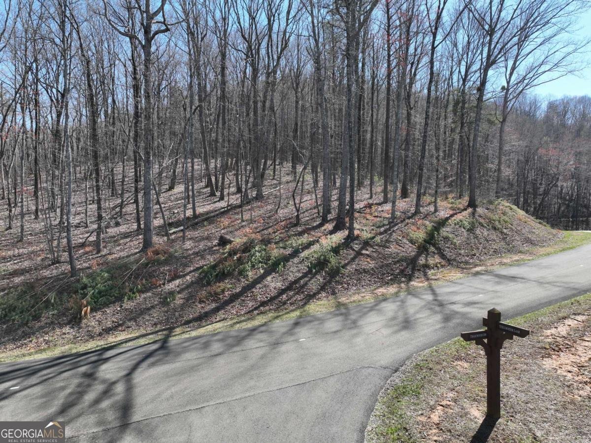 180 Trailwood Drive Ellijay - 20