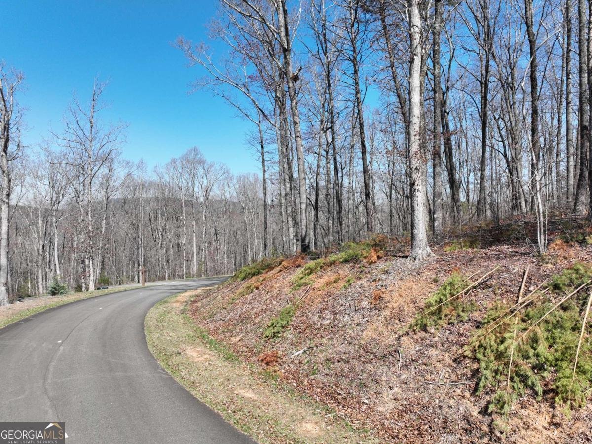 180 Trailwood Drive Ellijay - 25
