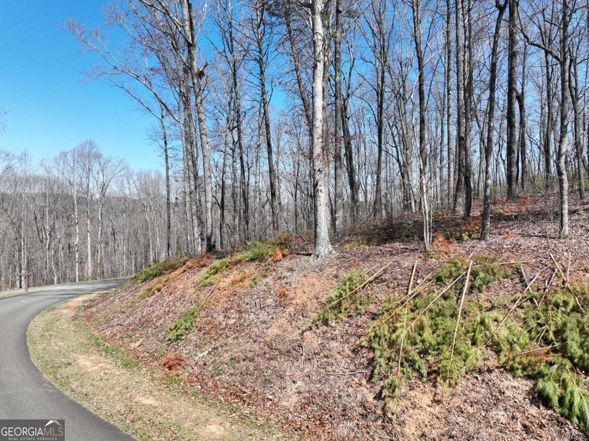 180 Trailwood Drive Ellijay - 26