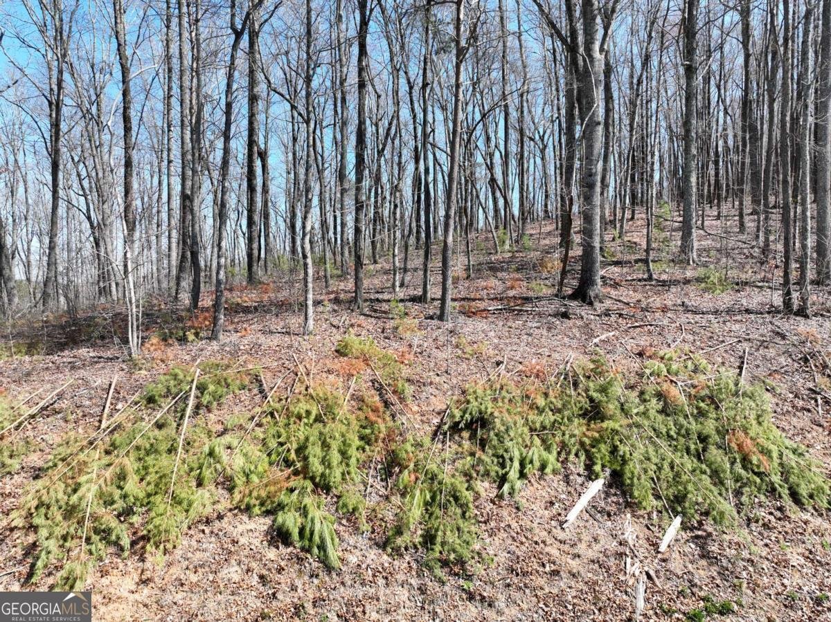 180 Trailwood Drive Ellijay - 27