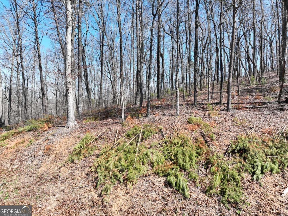 180 Trailwood Drive Ellijay - 28