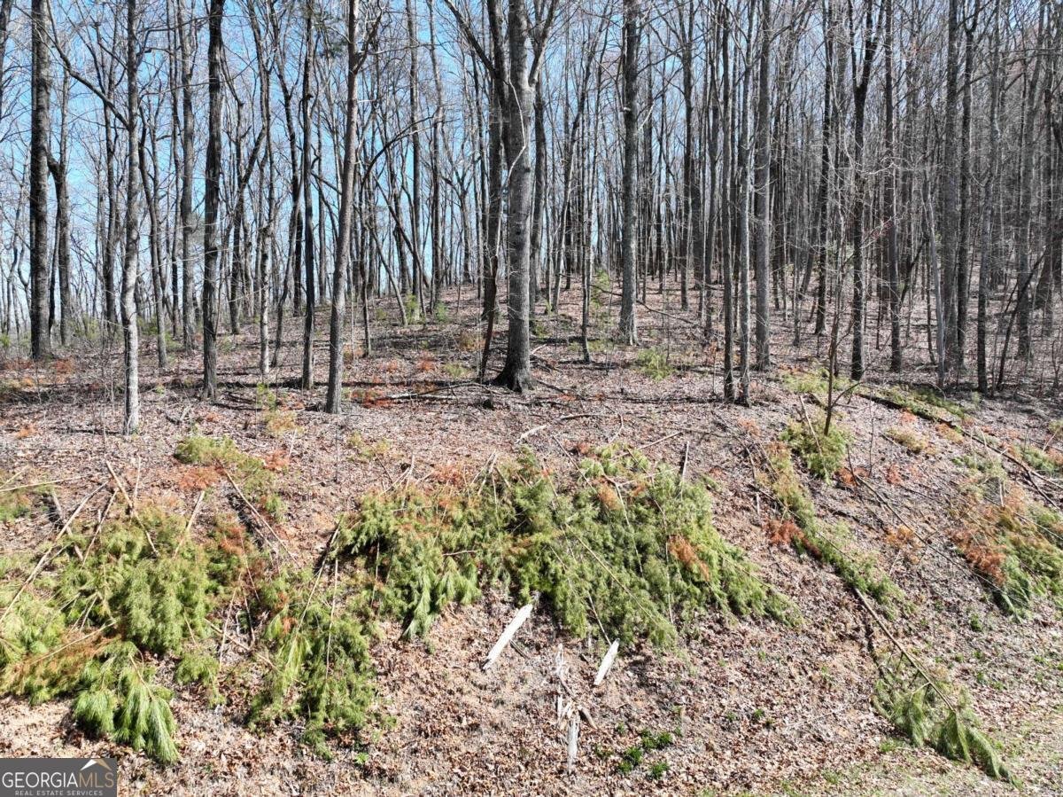 180 Trailwood Drive Ellijay - 29