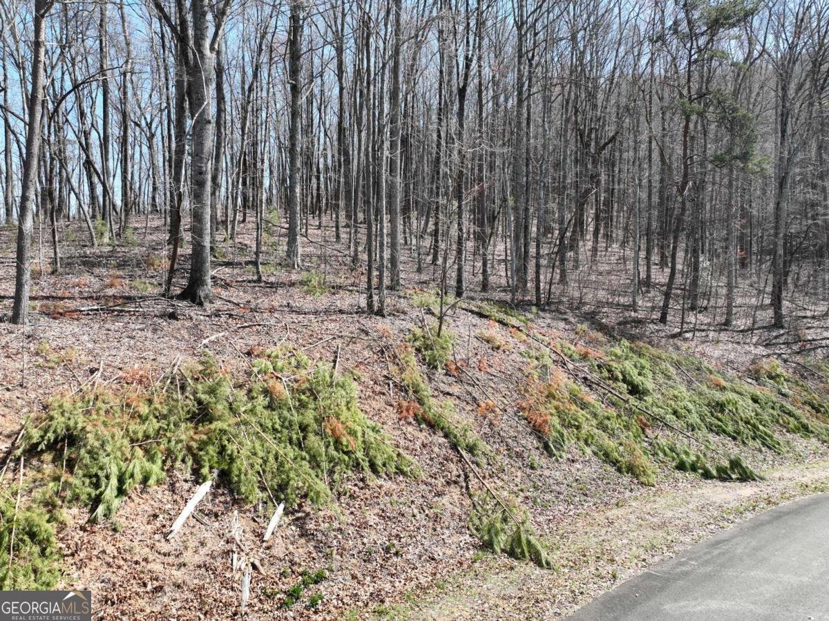 180 Trailwood Drive Ellijay - 30