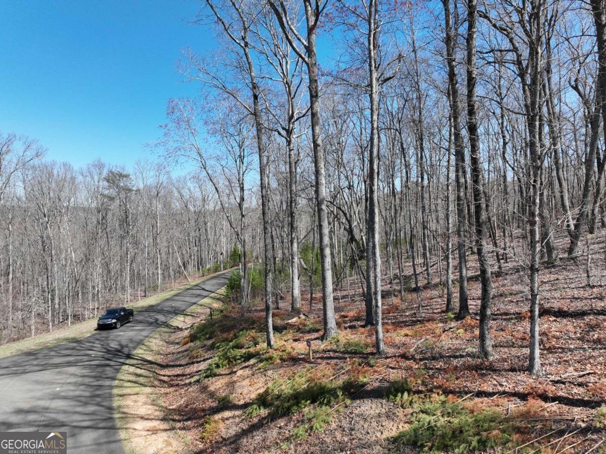 180 Trailwood Drive Ellijay - 31