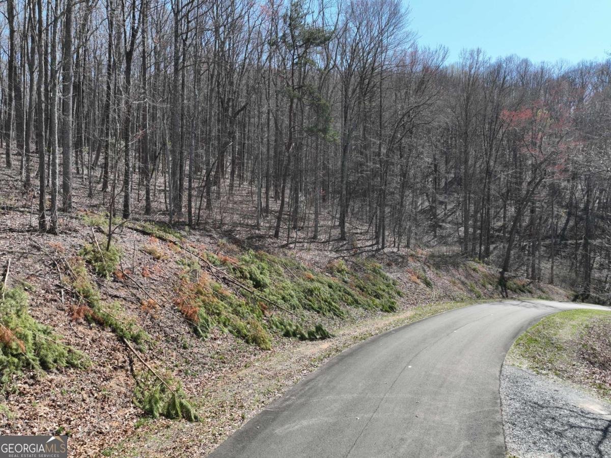 180 Trailwood Drive Ellijay - 32