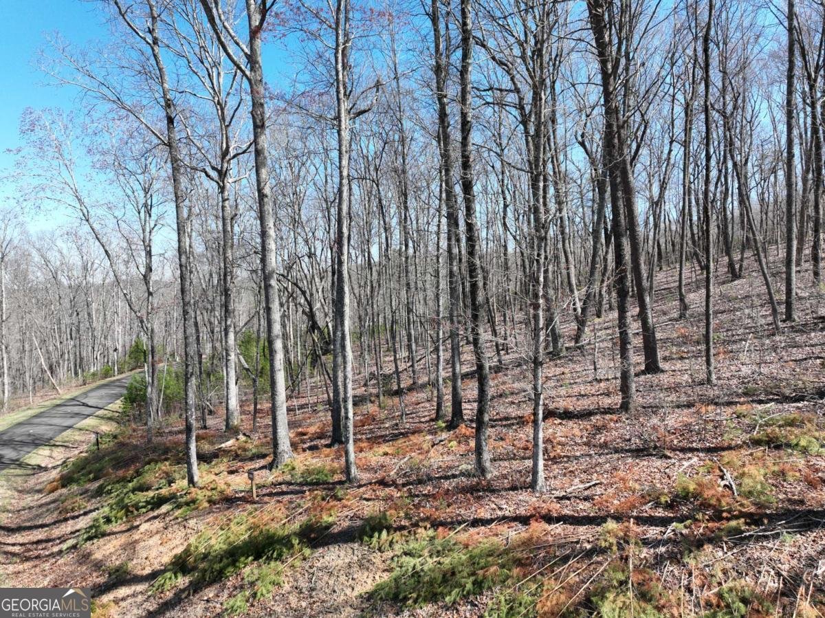 180 Trailwood Drive Ellijay - 33