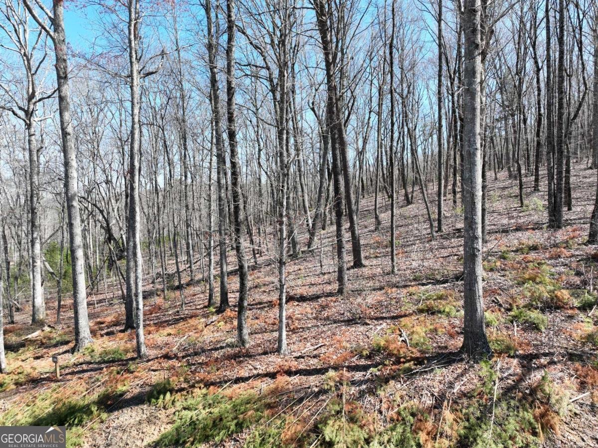 180 Trailwood Drive Ellijay - 34