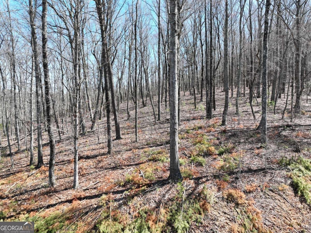 180 Trailwood Drive Ellijay - 35