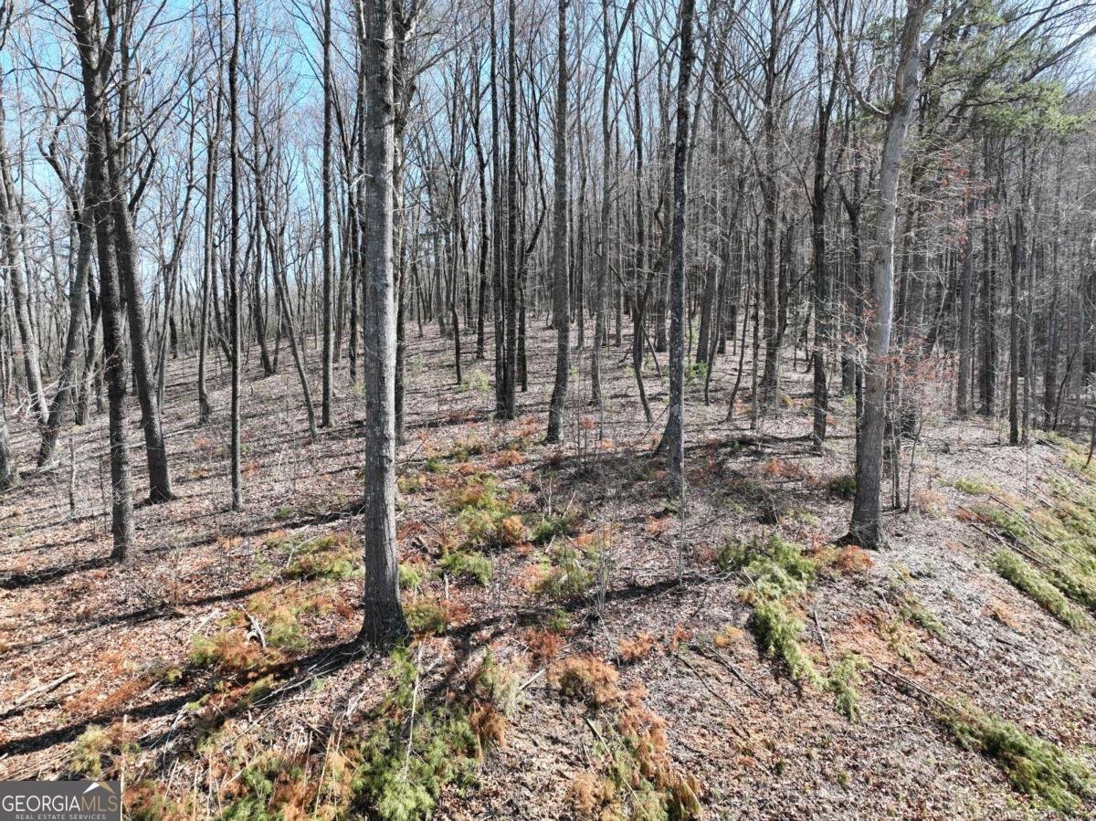 180 Trailwood Drive Ellijay - 36