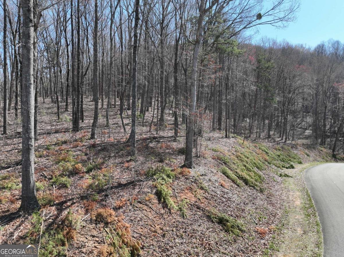 180 Trailwood Drive Ellijay - 37