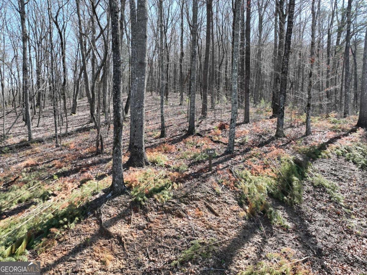 180 Trailwood Drive Ellijay - 38