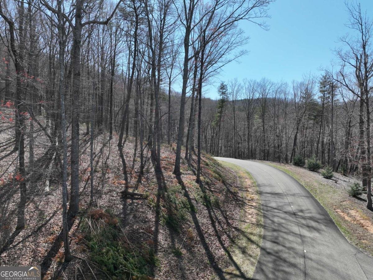 180 Trailwood Drive Ellijay - 40